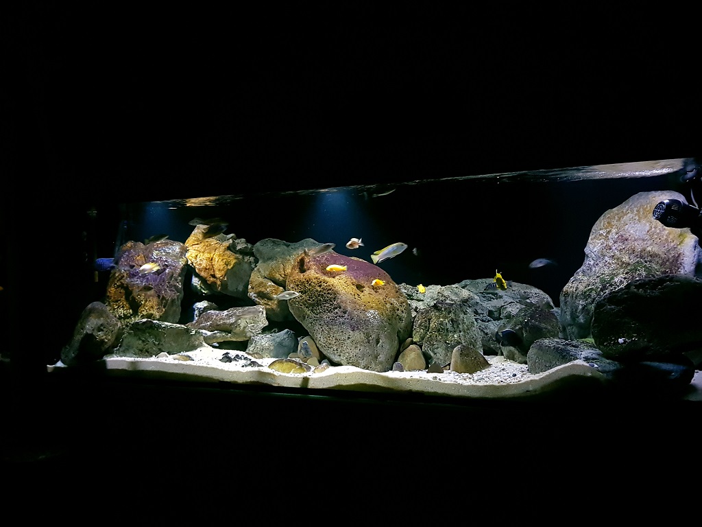 Aquarium