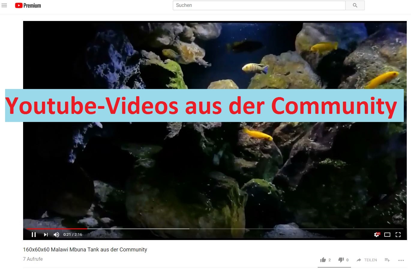 YT community videos marcel roßdeutscher2