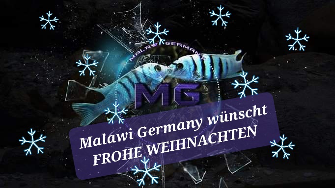 Malawi Germany frohe weihnachten
